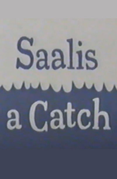 movie poster for Saalis