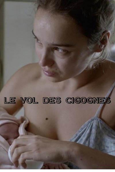 Poster do Filme Le Vol des cigognes