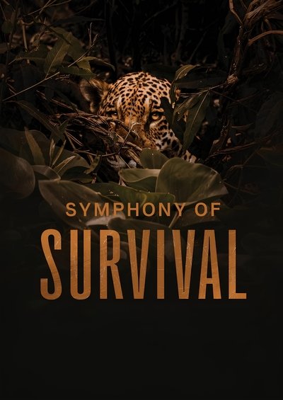 movie poster for Symphony of Survival