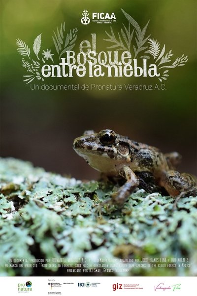movie poster for El bosque entre la niebla