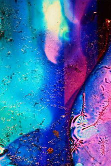 Poster do Filme Color Neutral