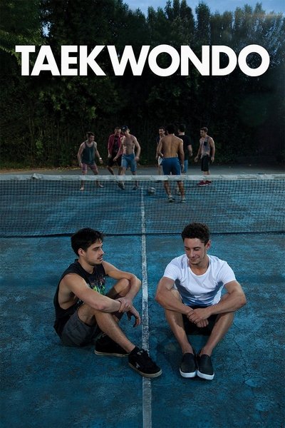 Poster for the movie Taekwondo