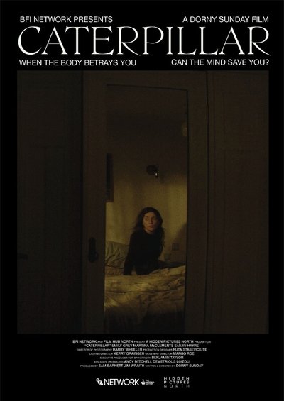 Poster do Filme Caterpillar