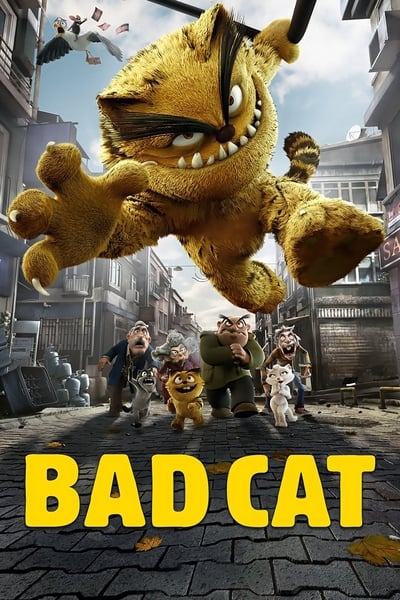 Bad Cat