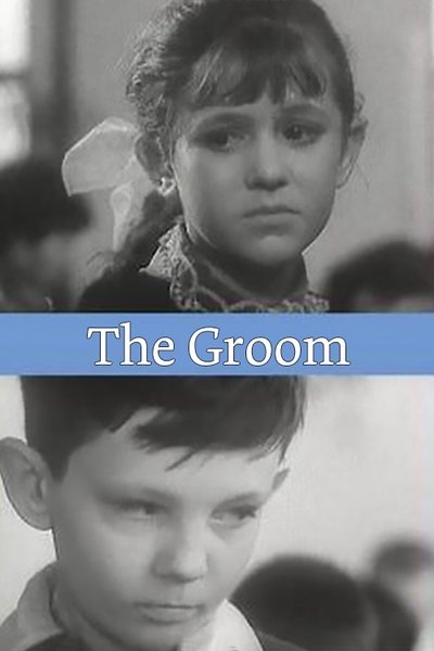 Poster for the movie The Groom