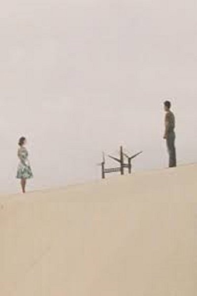 Poster do Filme わたしはナイロン