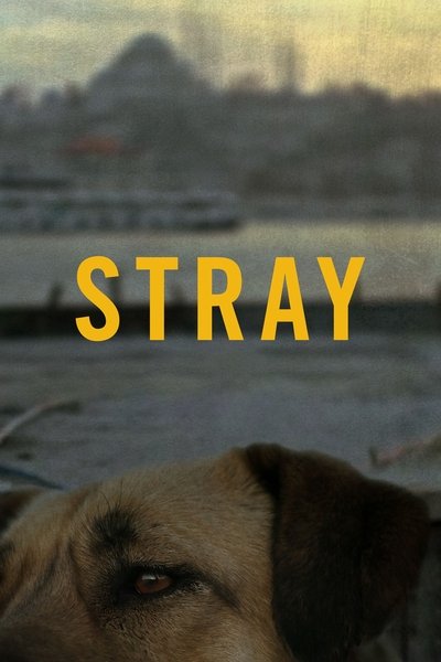 Watch!Stray Movie Online
