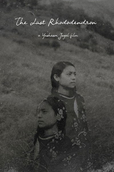 Poster do Filme The Last Rhododendron