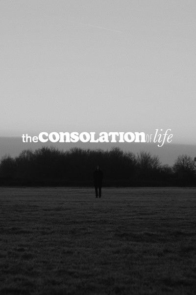Poster do Filme the consolation of life