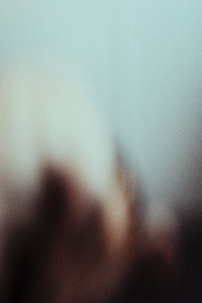 Poster do Filme Orchid Movie