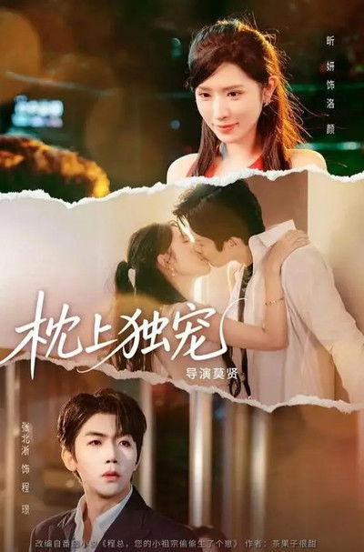 poster for 枕上独宠