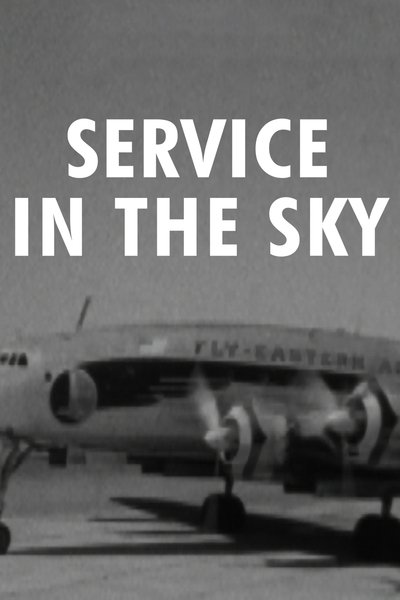 movie poster for Eye Witness: Service in the Sky