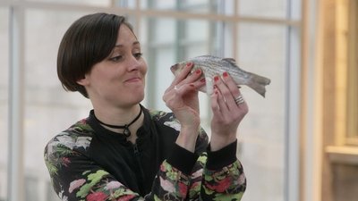 Episode 1