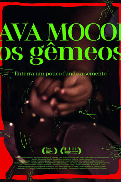 Ava Mocoi, Os Gêmeos