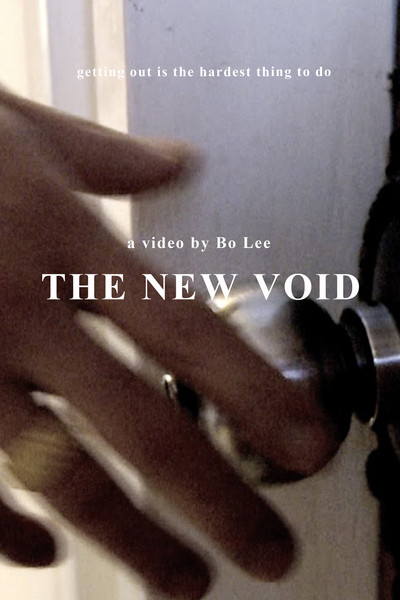 movie poster for The New Void