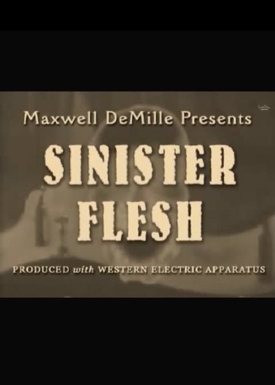 Poster for the movie Sinister Flesh