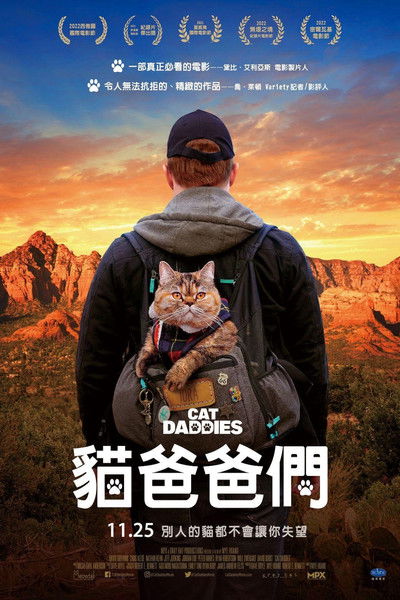 猫爸爸们