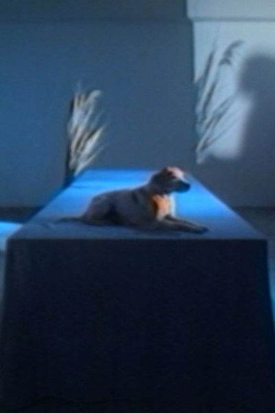 Poster do Filme Entre chien et loup