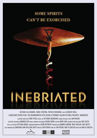 Poster do Filme Inebriated