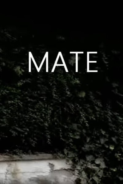 Poster do Filme Mate