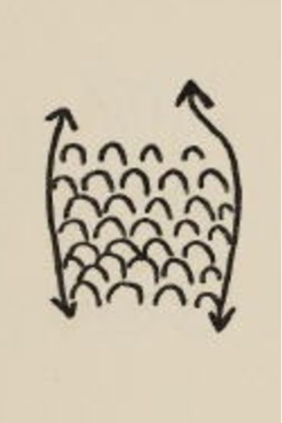 Poster do Filme Projet Pour Un Poisson