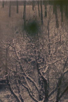 Poster do Filme Da Neve A Rosa