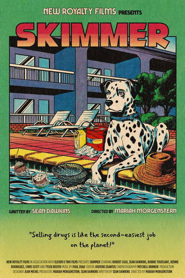 Poster do Filme Skimmer