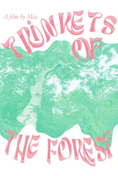 Poster do Filme Trinkets of the forest