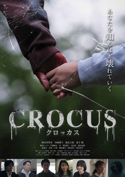 Crocus