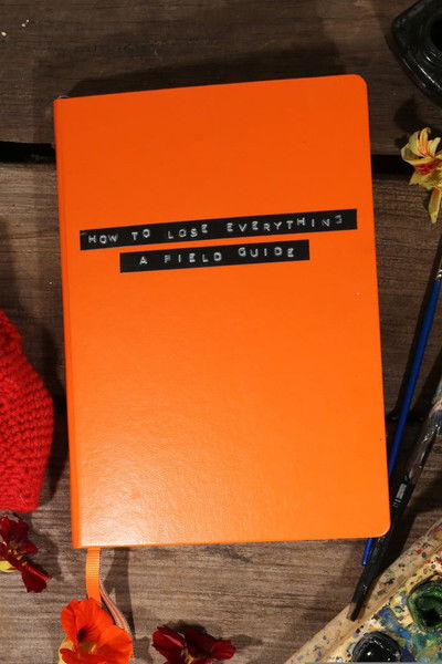 movie poster for How to Lose Everything: A Field Guide