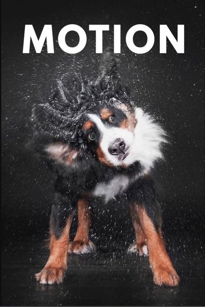 Poster do Filme Motion