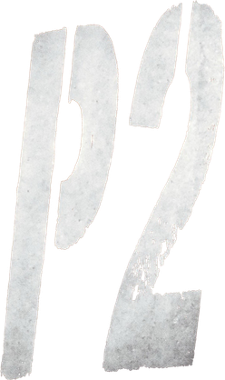 P2 Logo