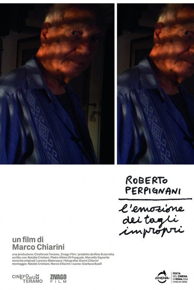Roberto Perpignani - L'emozione dei tagli impropri