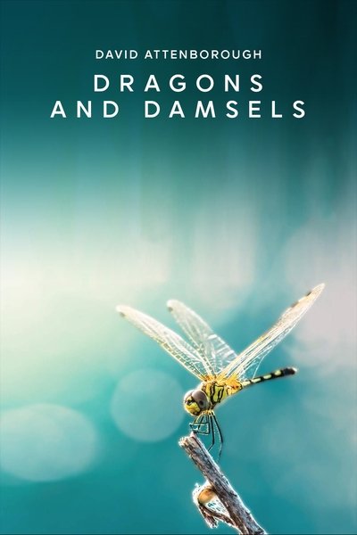 Poster for the movie Dragons and Damsels