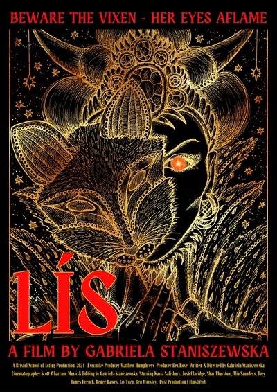 Poster do Filme Lís
