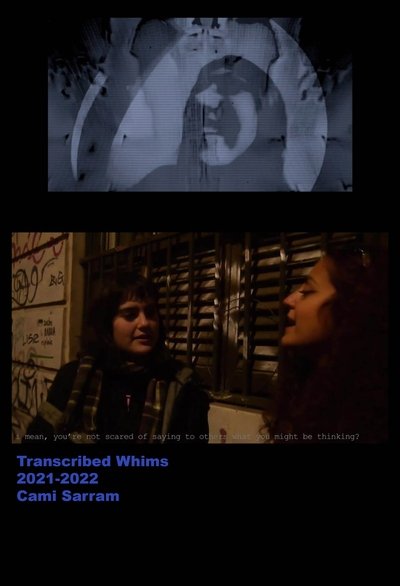 movie poster for Transcribed Whims