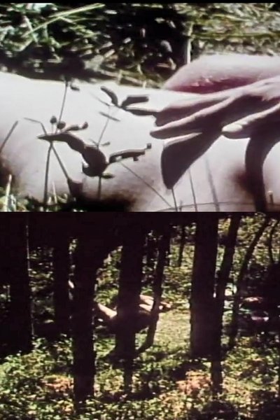 Watch - (1975) Short Films 1975 #9 Full Movie Online 123Movies