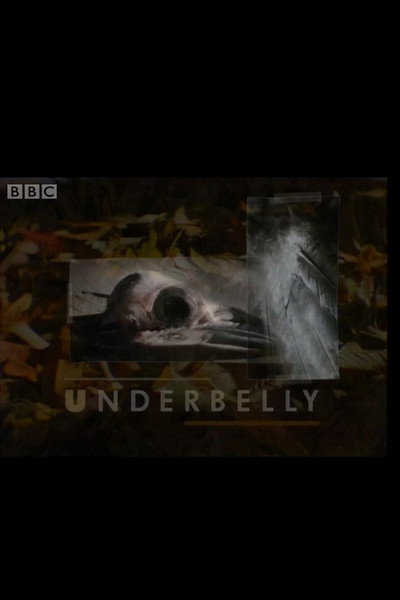 Underbelly