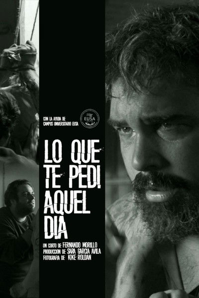 Poster do Filme Lo Que Te Pedí Aquel Día