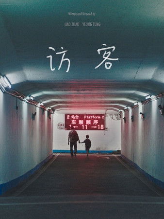 Poster do Filme 訪客