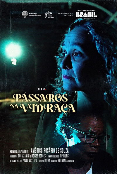 Poster do Filme Pássaros na Vidraça