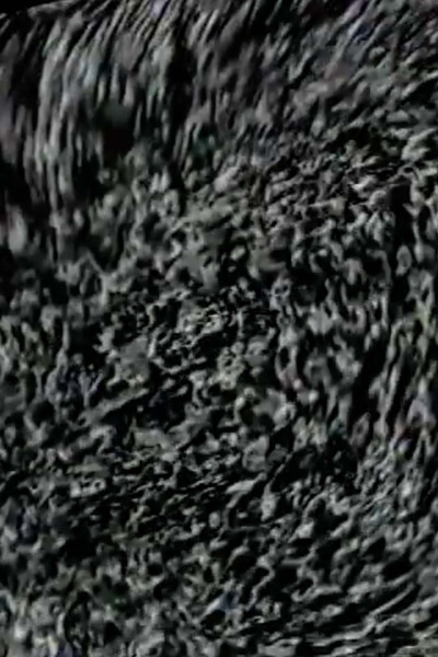 Poster do Filme Planetopolis