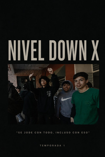 Nivel Down X