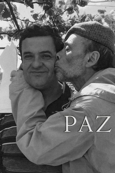 movie poster for Peace
