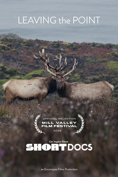 movie poster for Leaving the Point