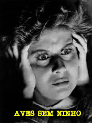 Poster do Filme Aves Sem Ninho