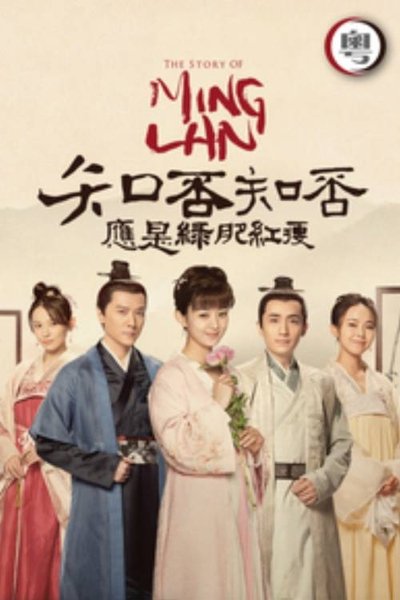 poster for 知否知否應是綠肥紅瘦