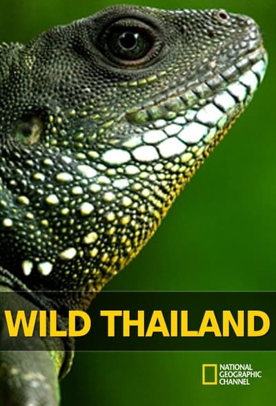 Wild Thailand