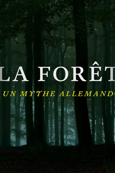 MYTHOS DEUTSCHER WALD: Erkundung einer Seelenlandschaft
