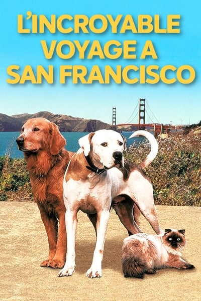 L'incroyable voyage II : À San Francisco (1996)